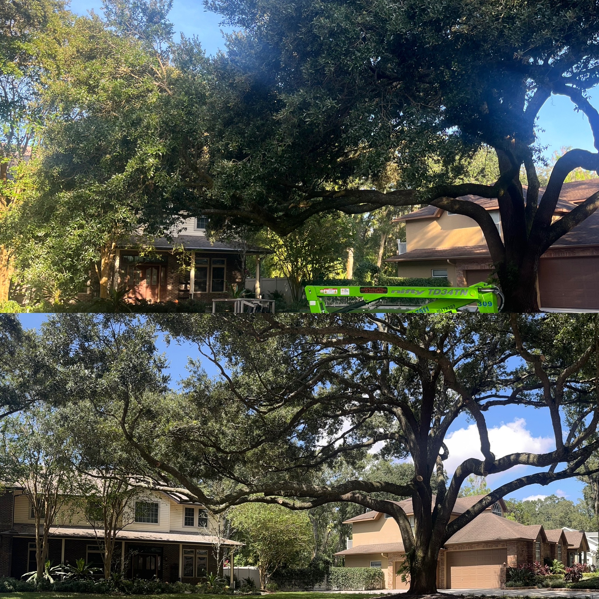 Before and After - Clarke's Pro Tree Service